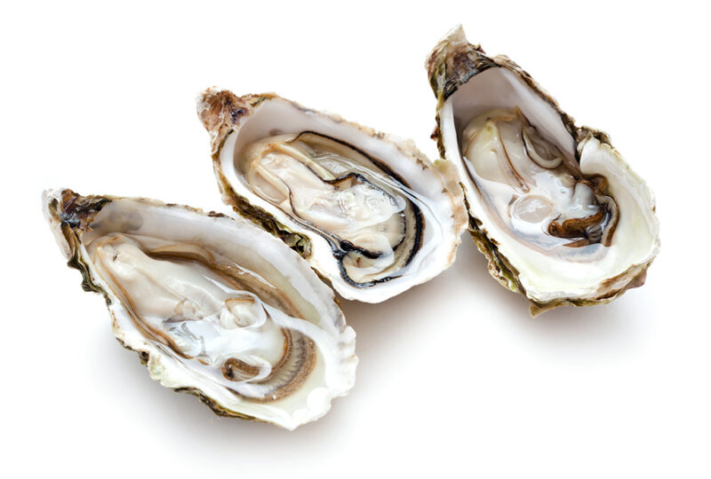 3-oysters