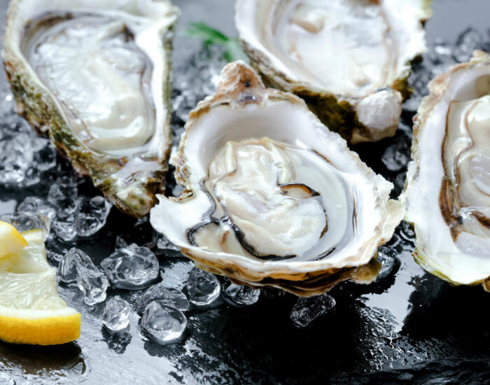 oysters-ice